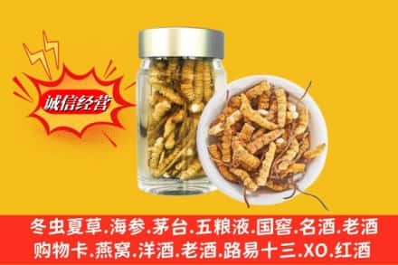 齐齐哈尔甘南回收散虫草