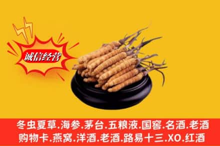 齐齐哈尔甘南求购回收虫草多少钱每克